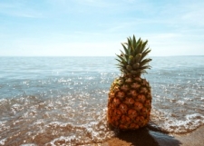 Lifestyle-Investment-Opportunity-by-the-Beach